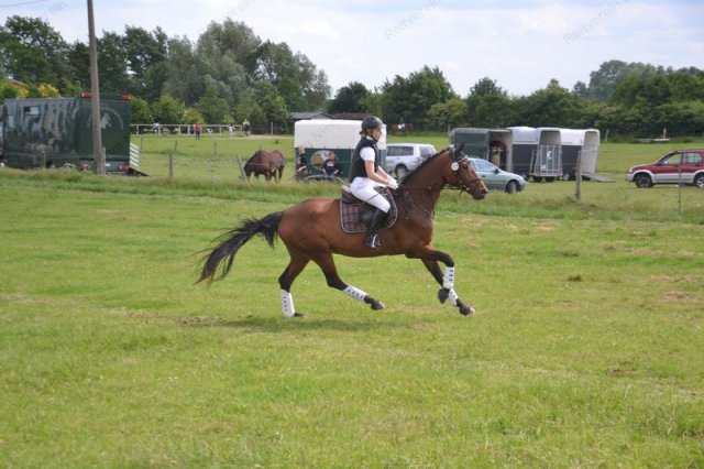 reitertag 2013 179